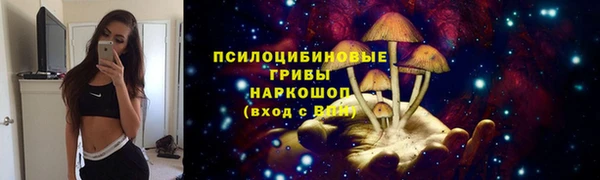герыч Алексин