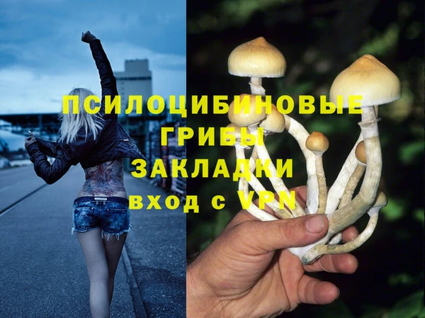 дмт Нефтекумск