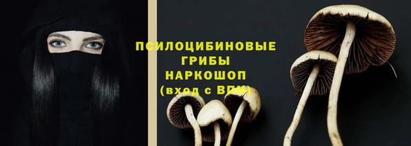 гидропоника Алексеевка