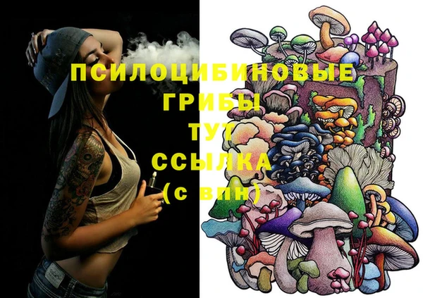 прущие крисы Алзамай