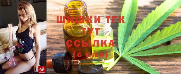 гашик Нея