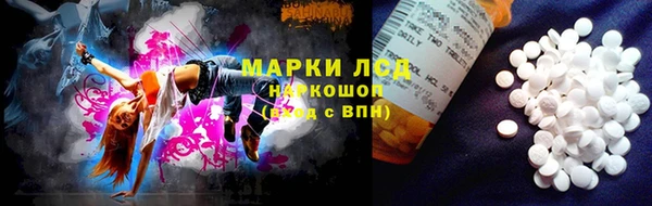 гашик Нея